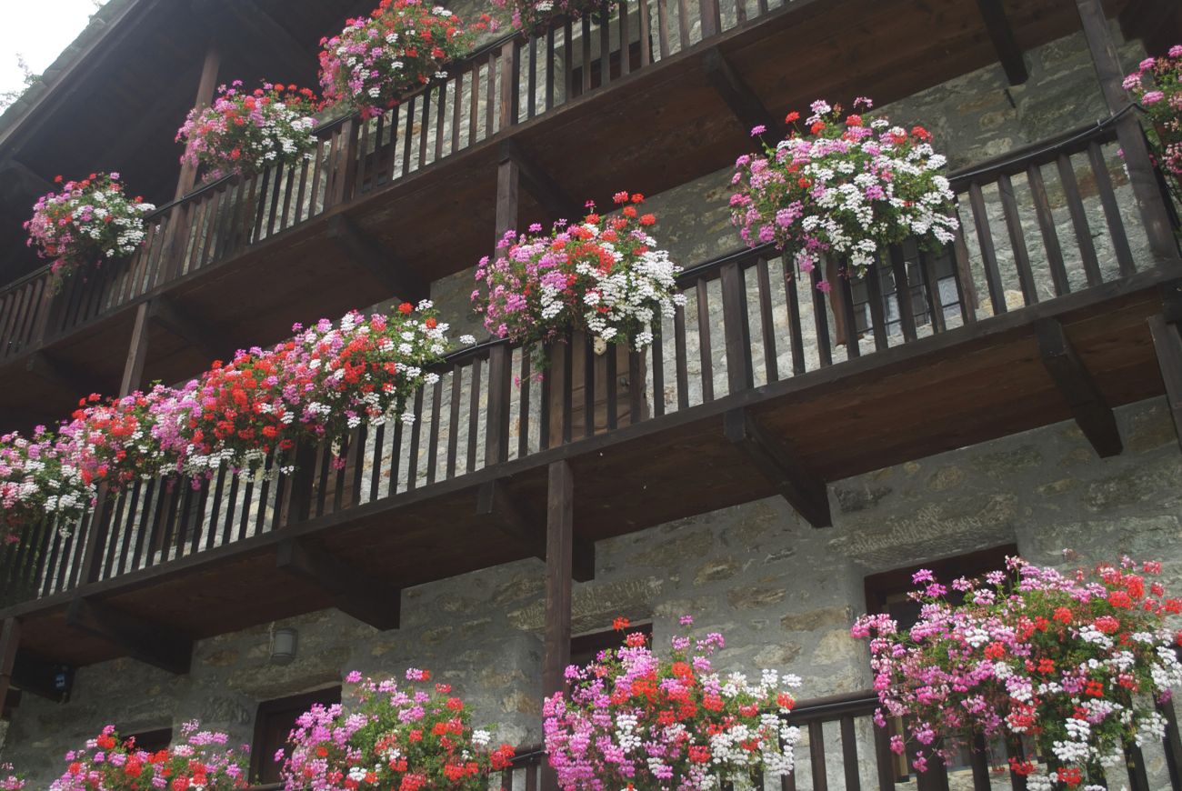 Podestà- balconi fioriti