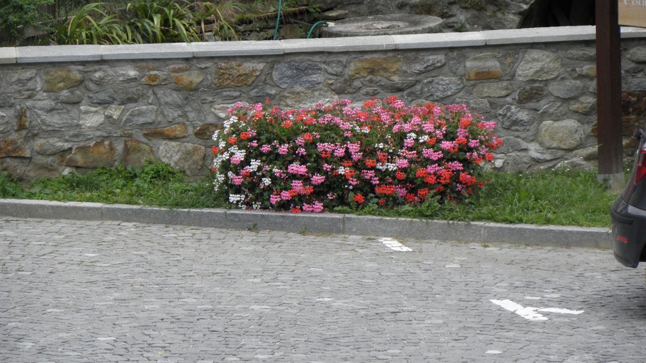Tronchi alpini Lillianes