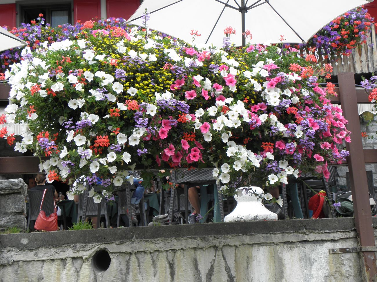 Taverna del Rosa