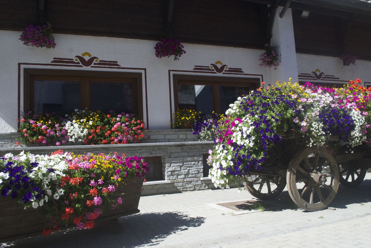 Hotel Jolanda Sport