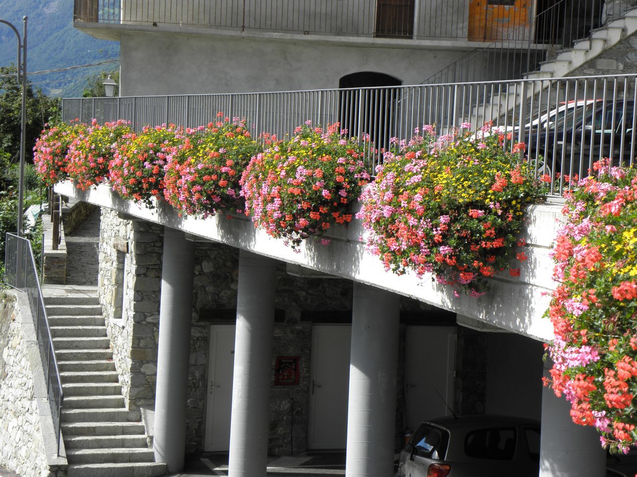 Municipio