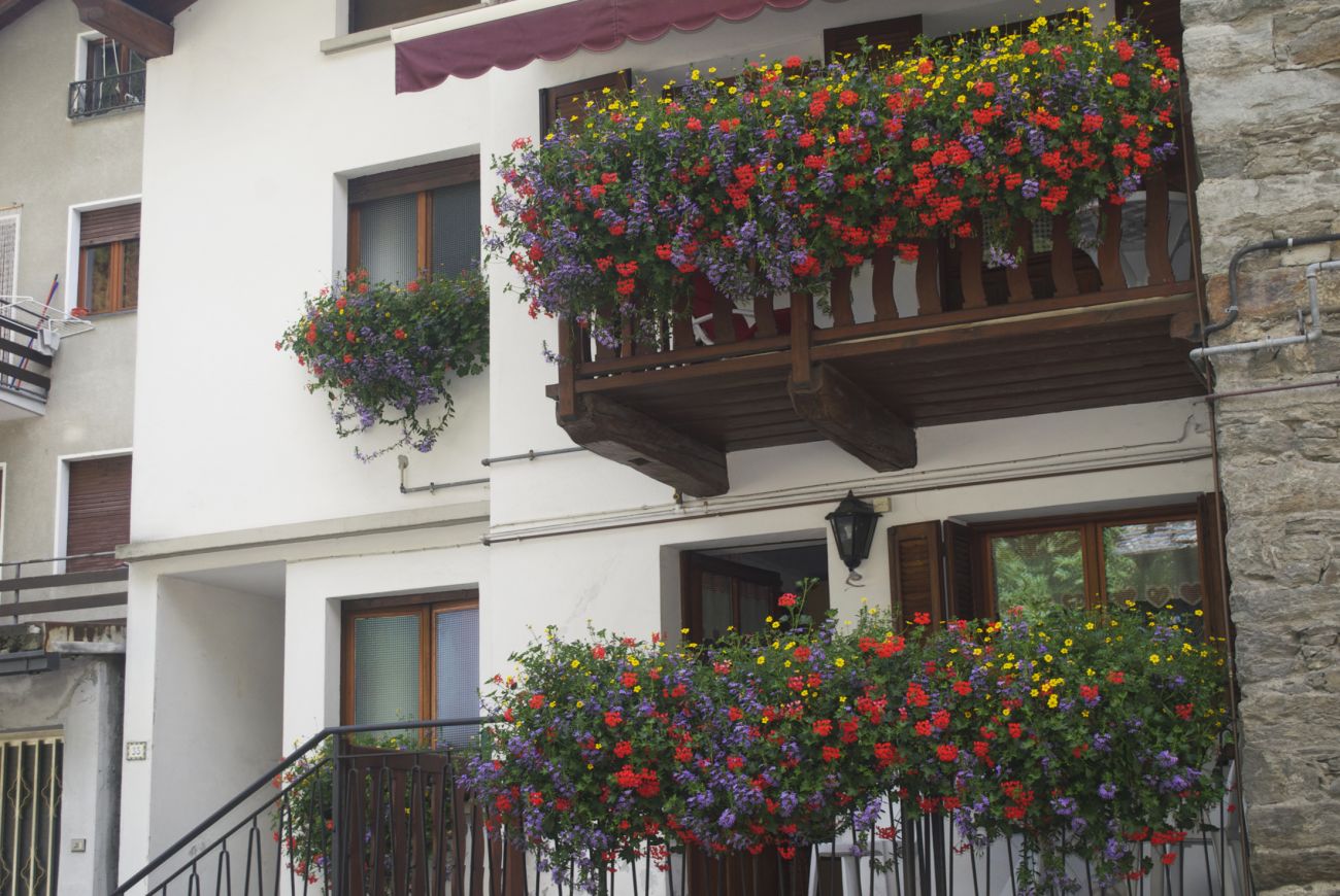 casa Pomero