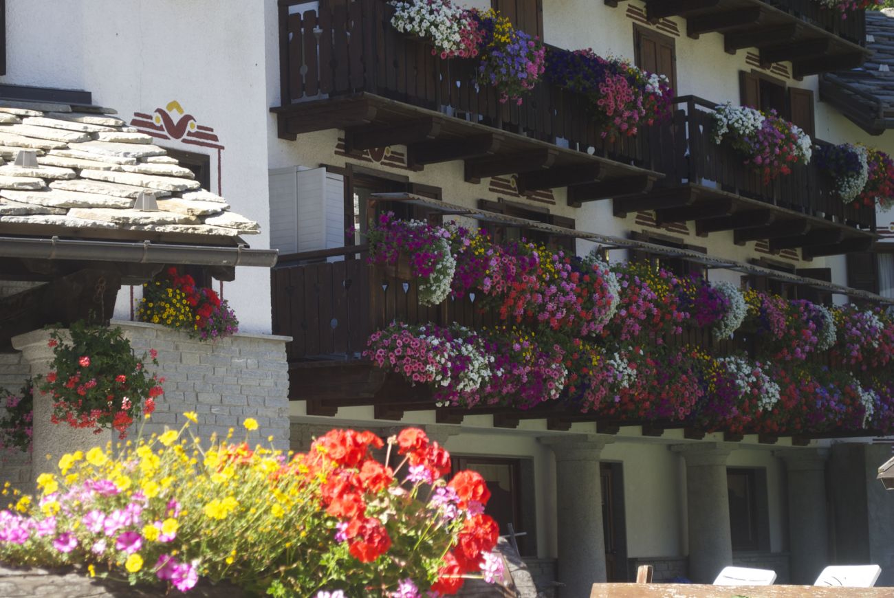 Hotel Jolanda Sport
