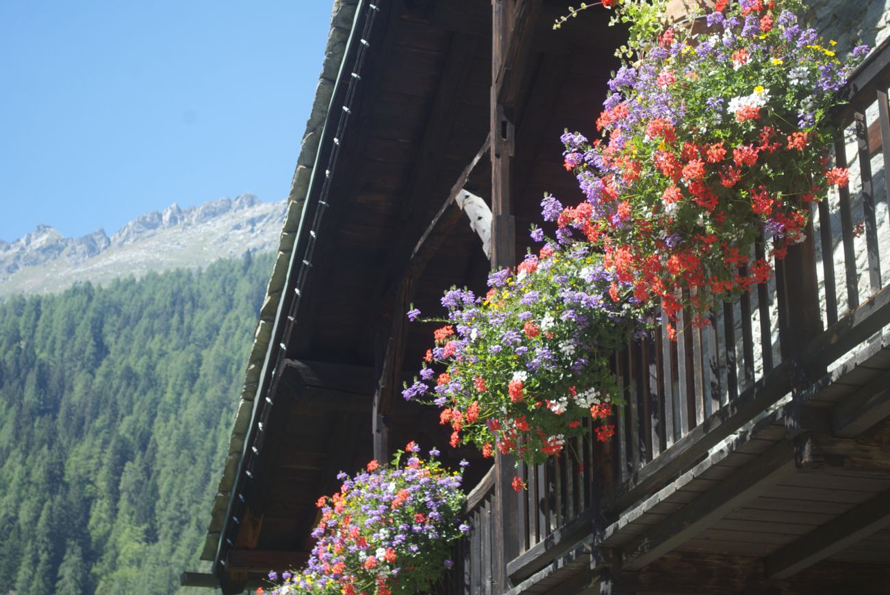 Hotel Gran Baita