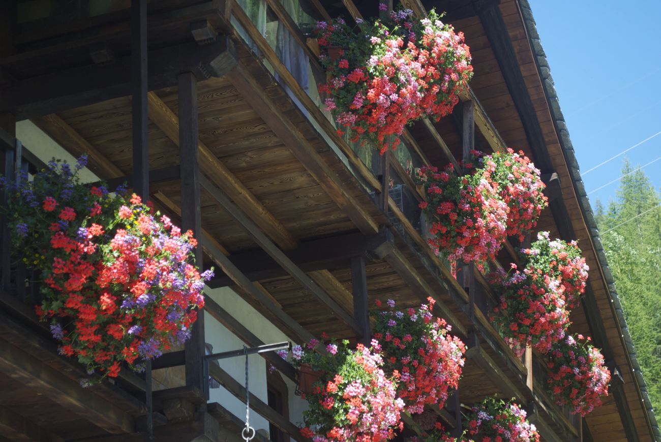 casa WELF