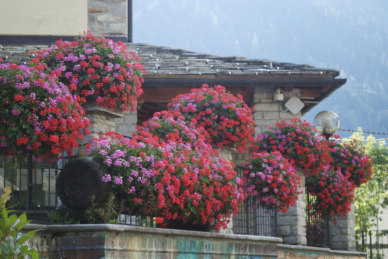 Municipio