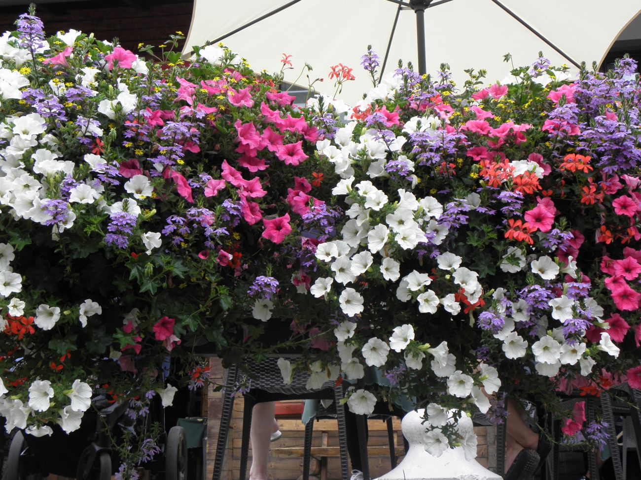 Taverna del Rosa