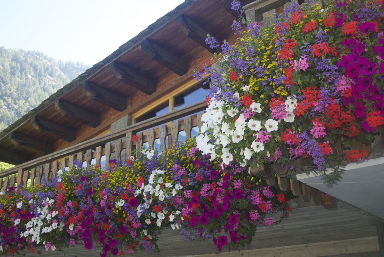 hotel Floralpina