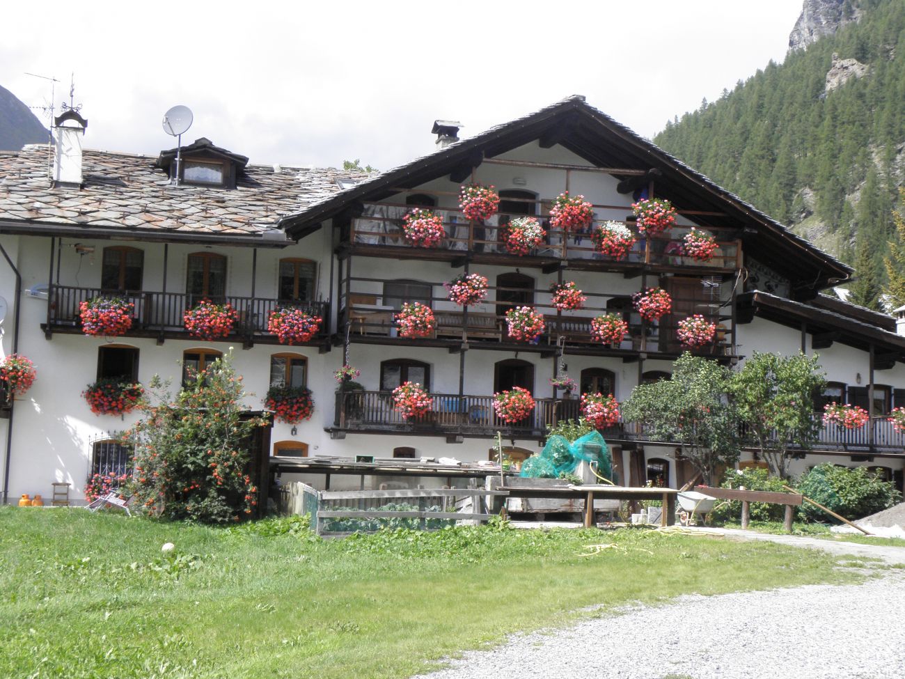 BORGO VIQUERI/WELF