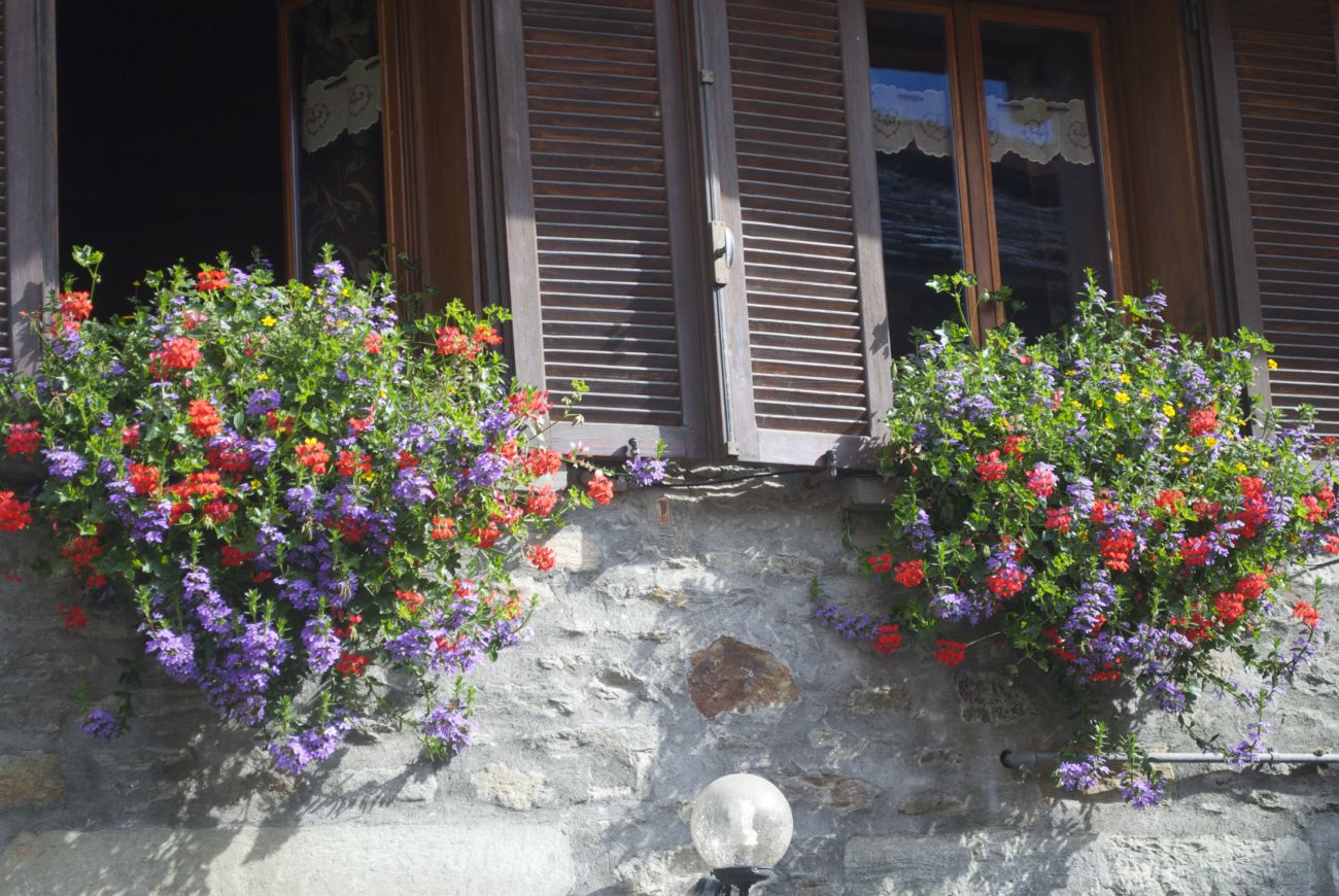 Balconi fioriti- balconetta cm 50