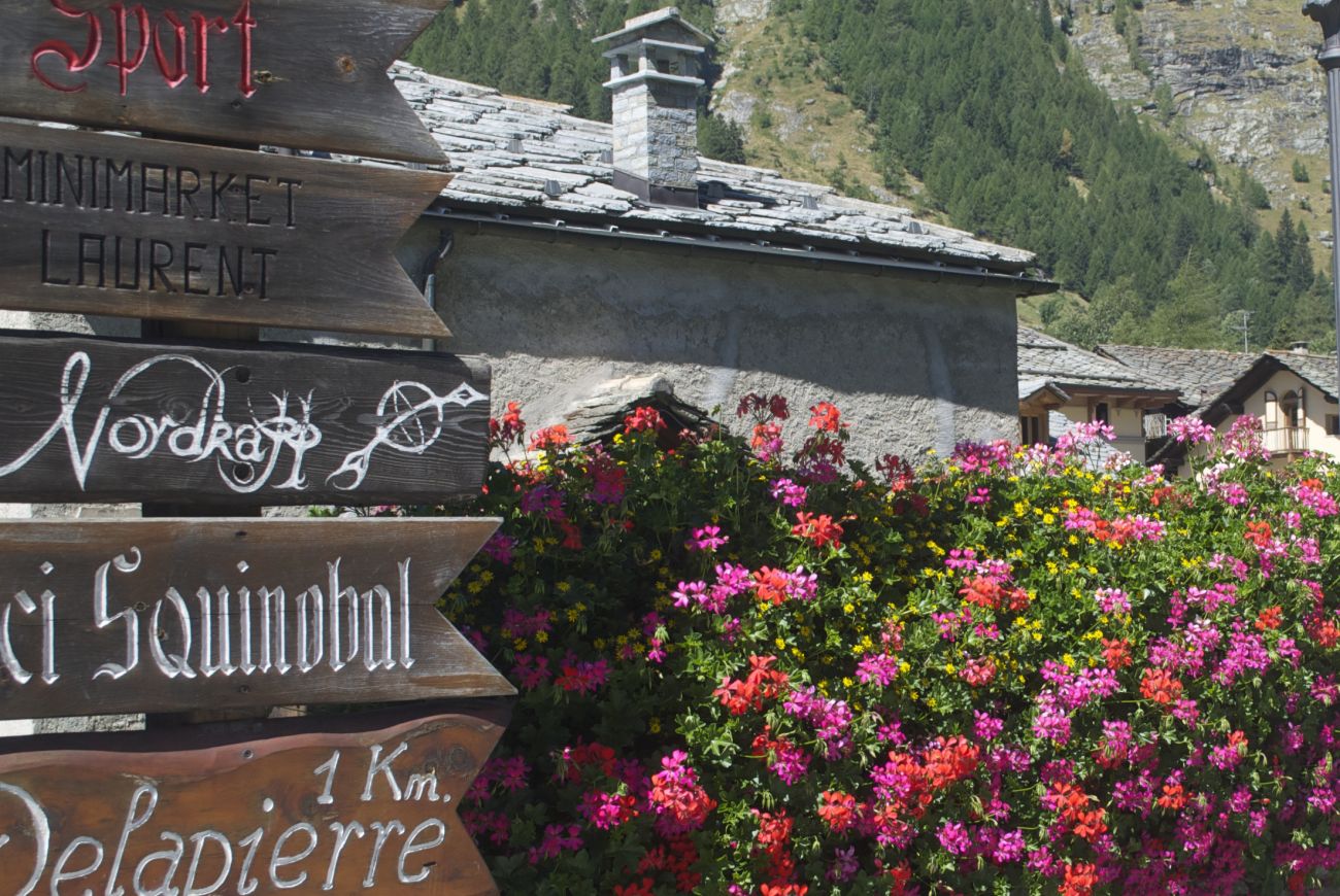 tronchi cimitero