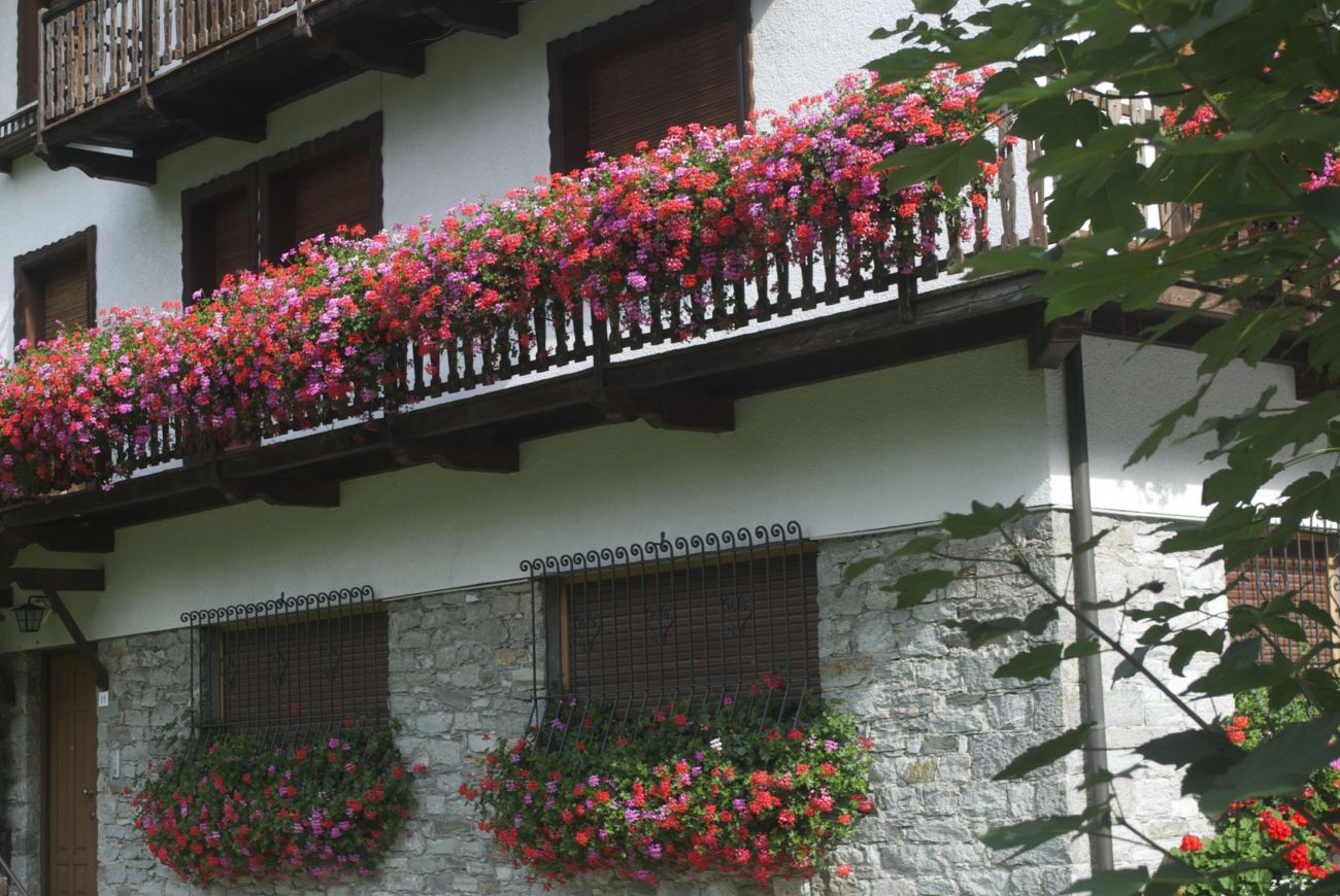casa Stevenin