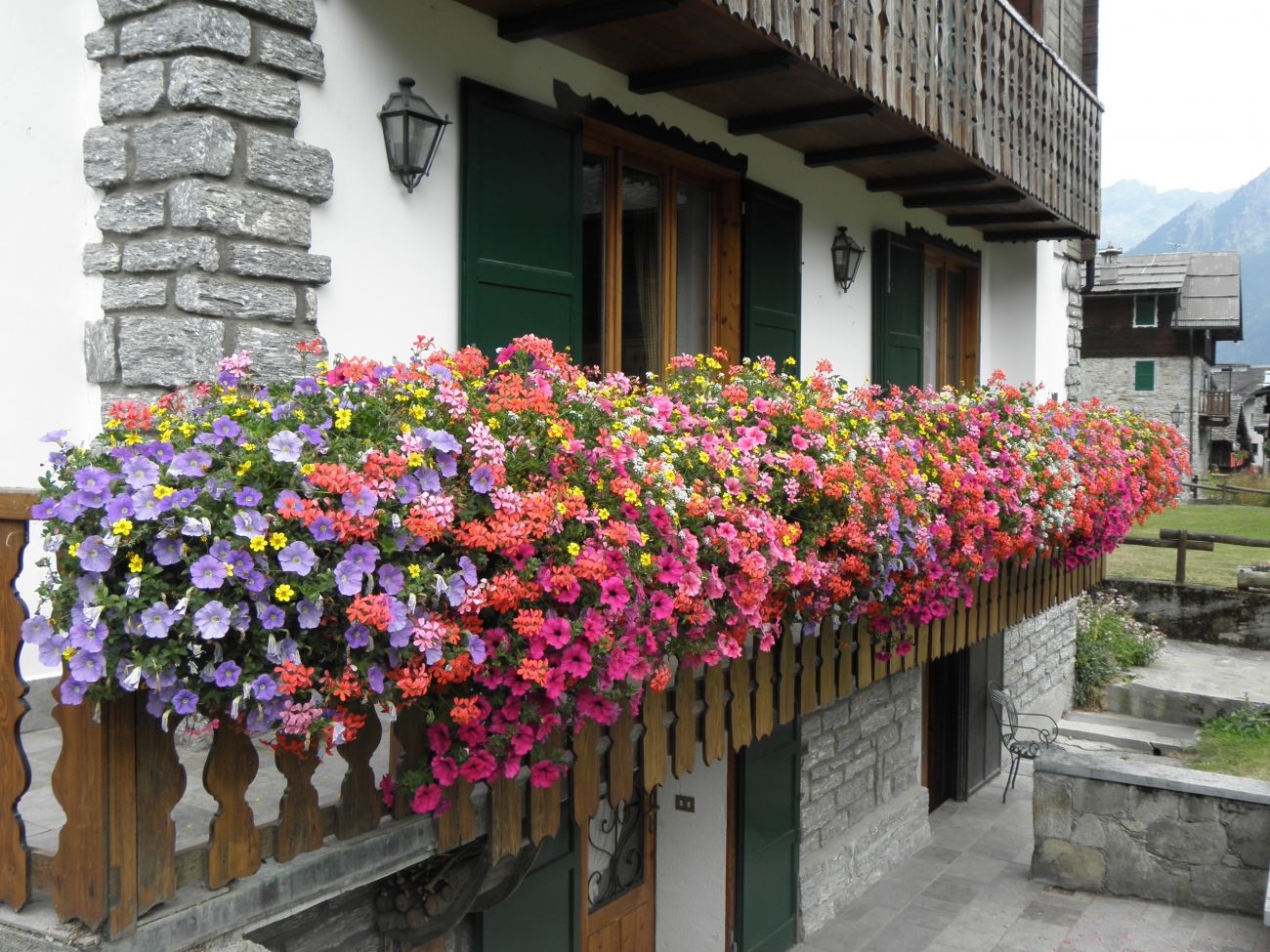 casa Aspesi