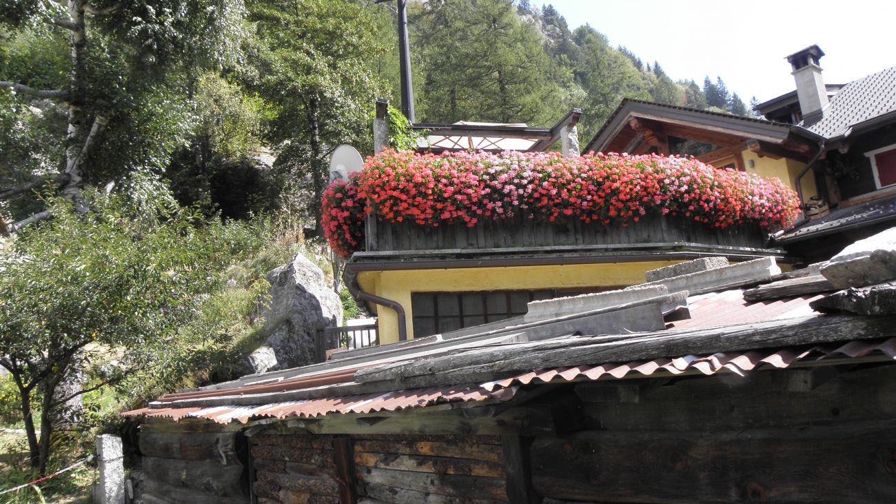 Baita Sala
