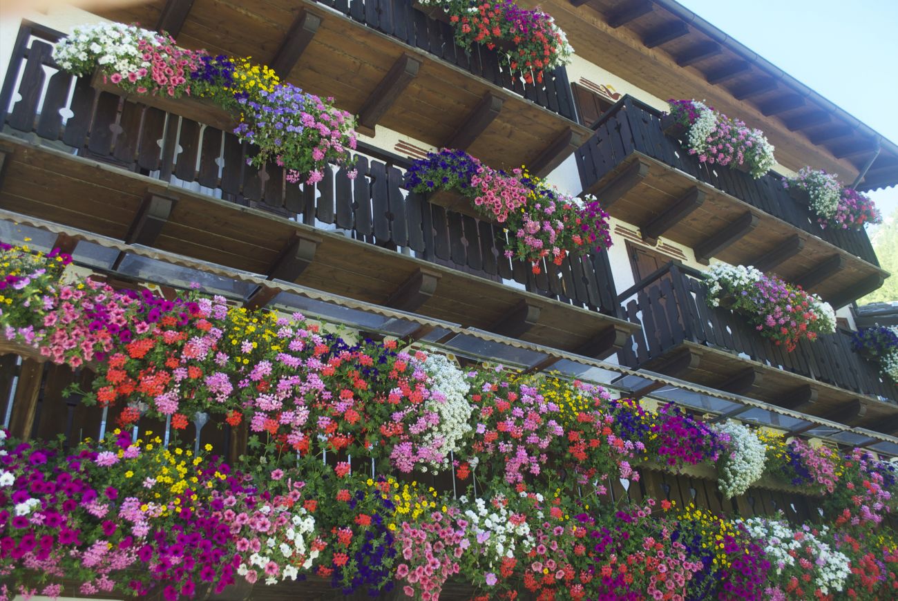 Hotel Jolanda Sport