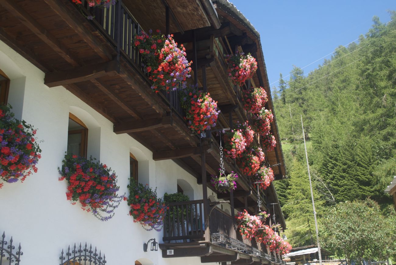 casa Viqueri e casa WELF