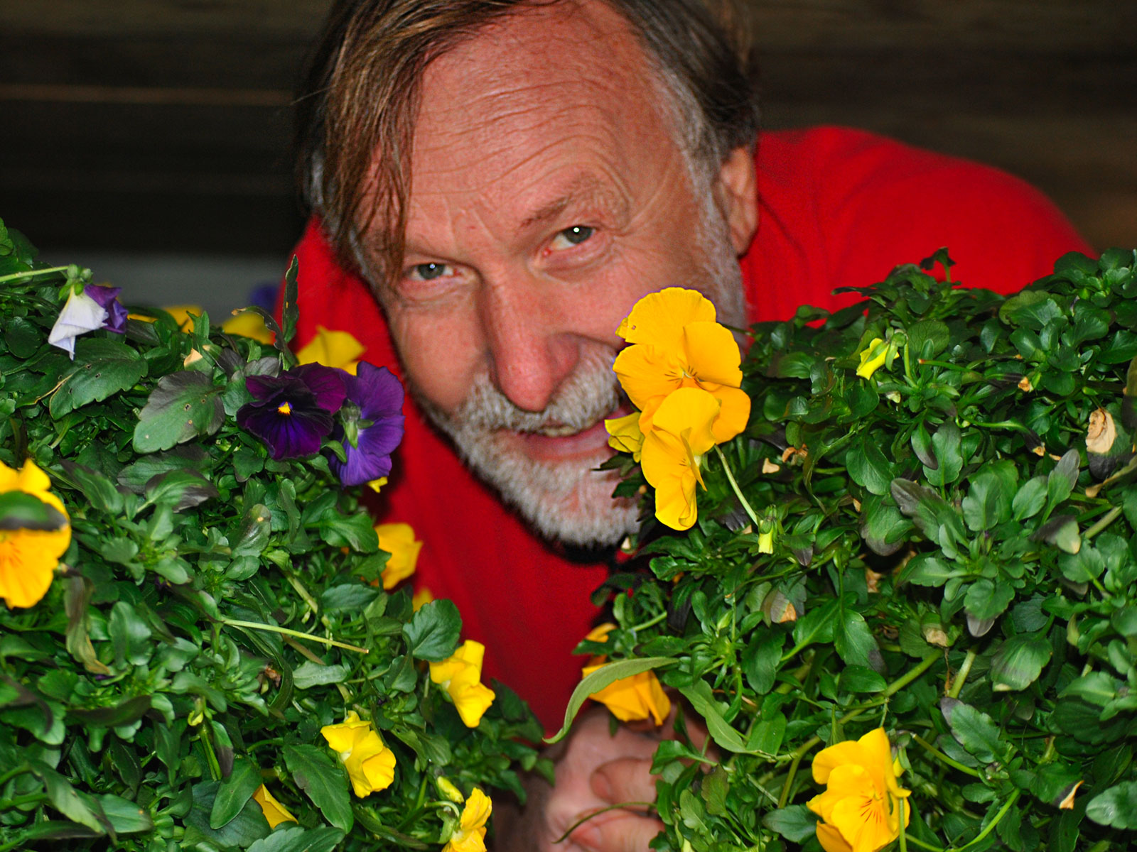 Flavio Giani | Floricoltura Mery Estevez